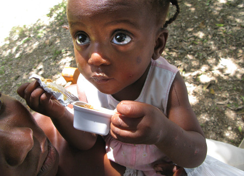 Photo 7 from Friends of the Children of Haiti (FOTCOH)